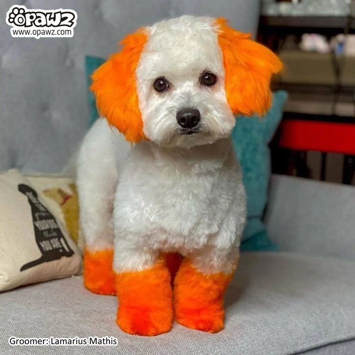 OPAWZ PET HAIR DYE SEMI PERMANENT 5.3oz