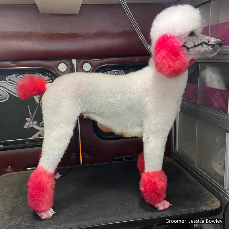 OPAWZ PET HAIR DYE SEMI PERMANENT 5.3oz