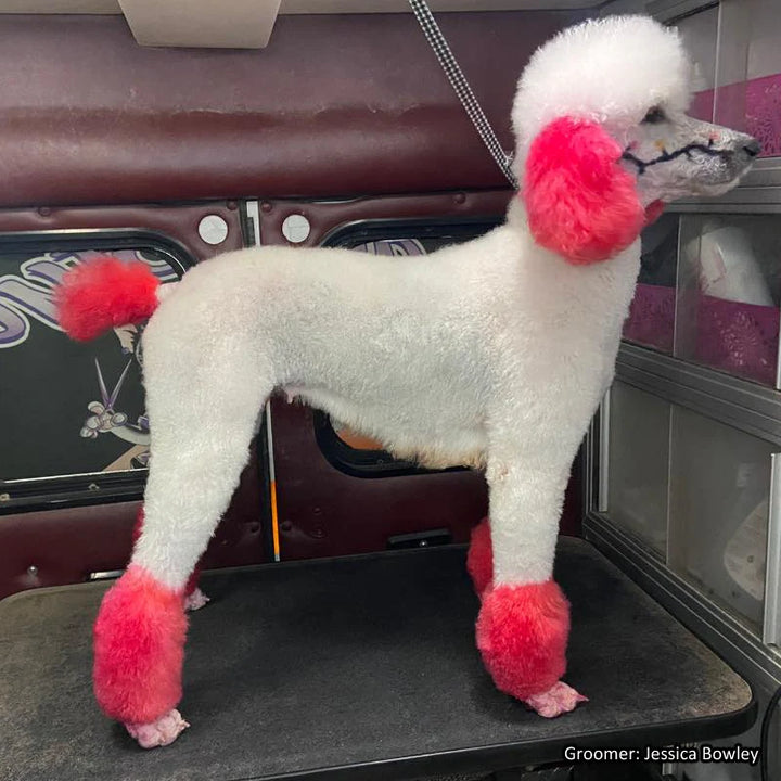 OPAWZ PET HAIR DYE SEMI PERMANENT 5.3oz