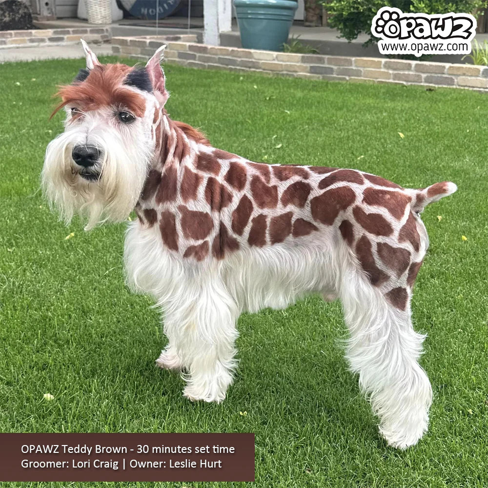 OPAWZ PET HAIR DYE PERMANENT