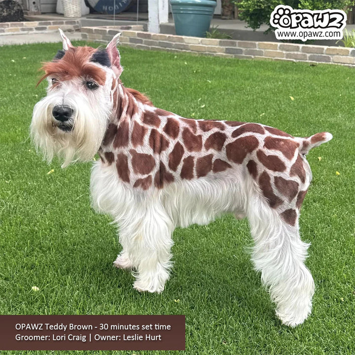 OPAWZ PET HAIR DYE PERMANENT