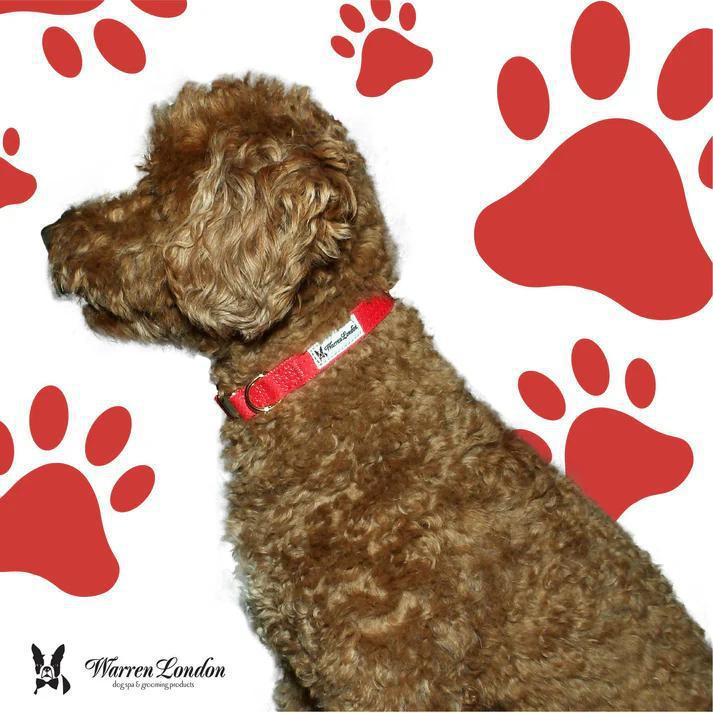 WL FABRIC DOG COLLAR RED
