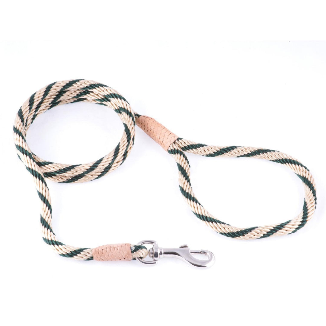 ALVALLEY NYLON SNAP LEAD 2MM X 4'