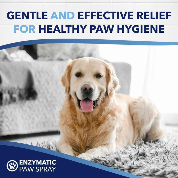 TC OXYMED ENZYMATIC PAW ODOR & ITCH SPRAY 8oz