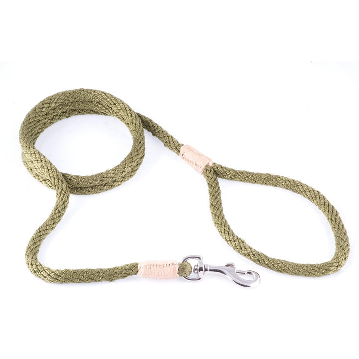 ALVALLEY NYLON SNAP LEAD 2MM X 4'