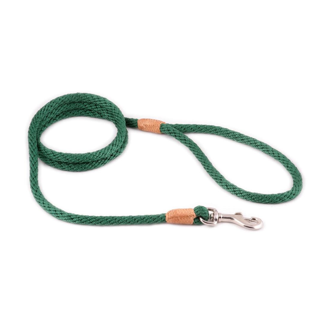 ALVALLEY NYLON SNAP LEAD 2MM X 4'