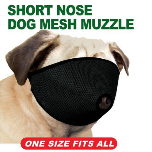 PROGUARD SHORT NOSE DOG MESH MUZZLE
