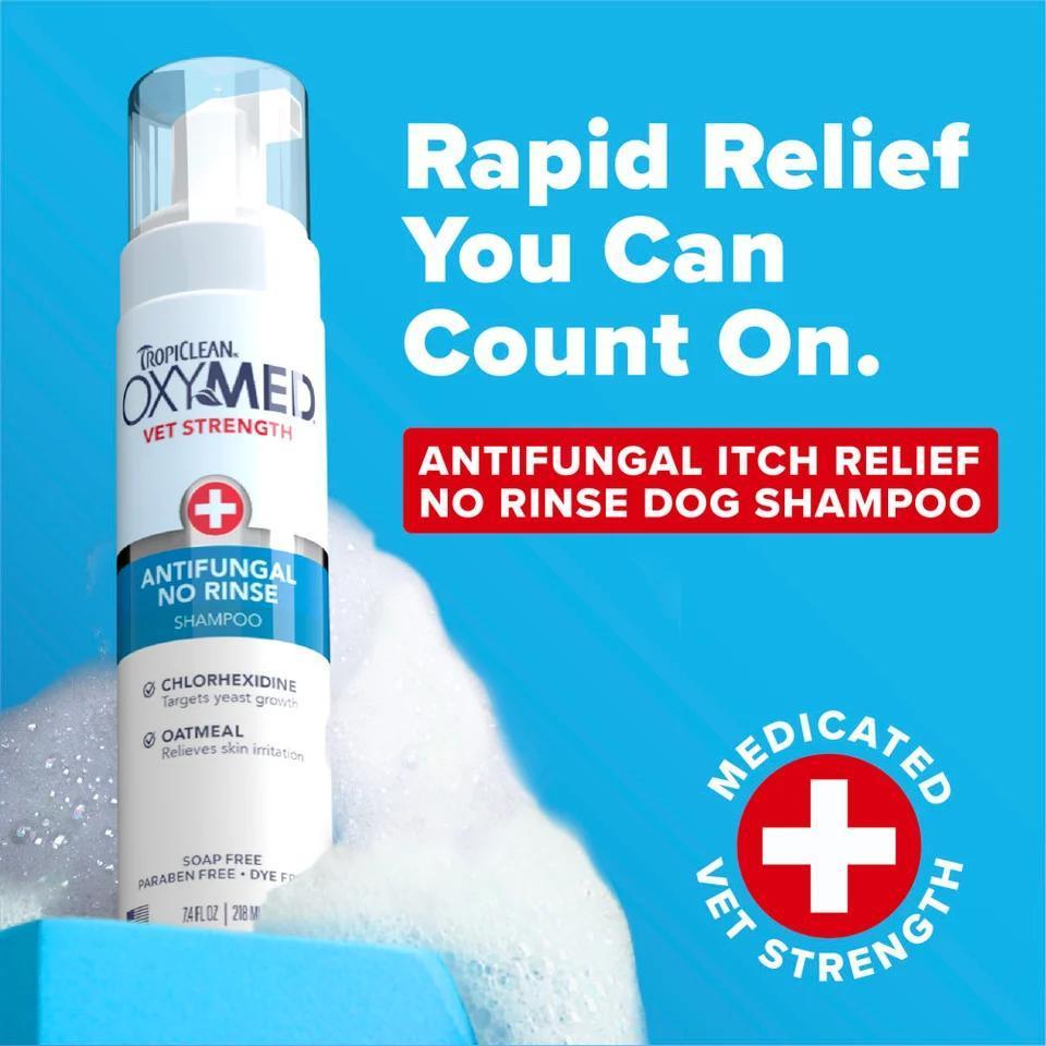 TC OXYMED ANTIFUNFAL NO RINSE SHAMPOO 7.4oz