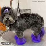 Dog Hair Dye Indigo Purple 8oz