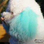 Pet Hair Chalk Turquoise