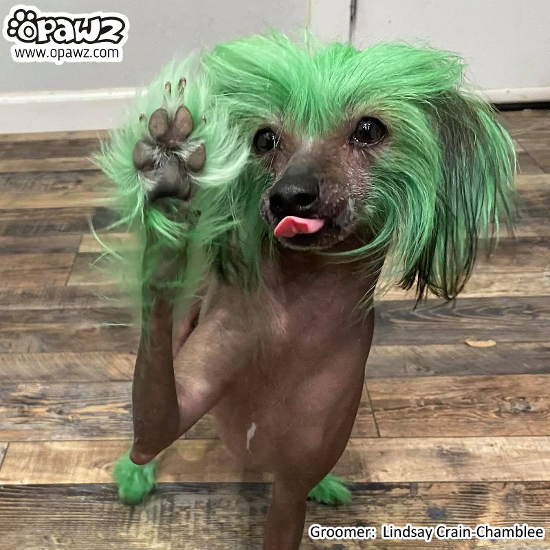 OPAWZ PET HAIR CHALK 4g
