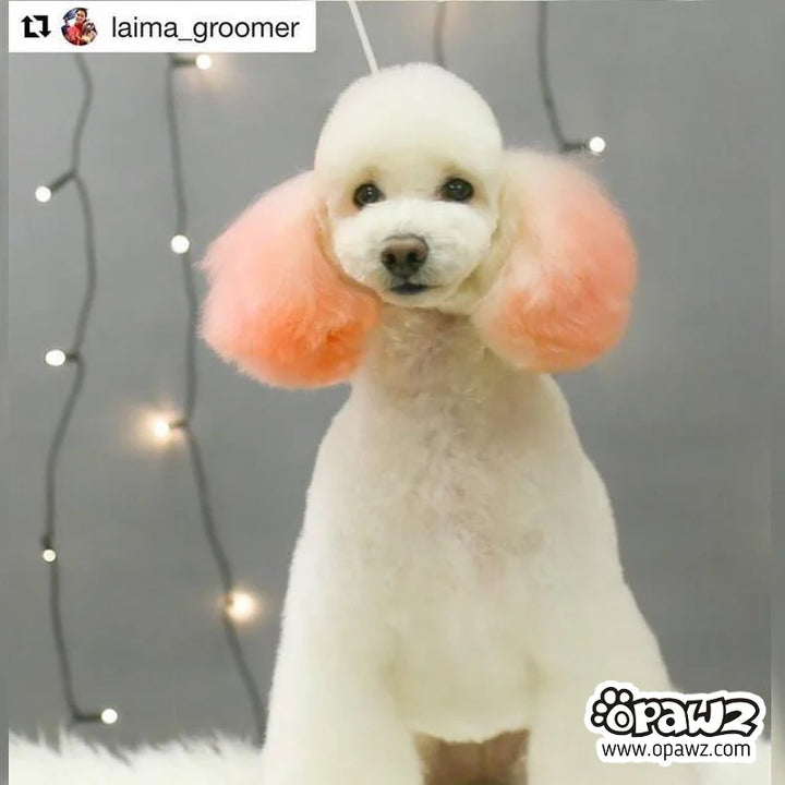 OPAWZ PET HAIR CHALK 4g