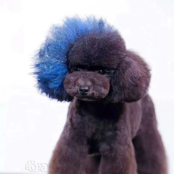 OPAWZ PET HAIR CHALK 4g