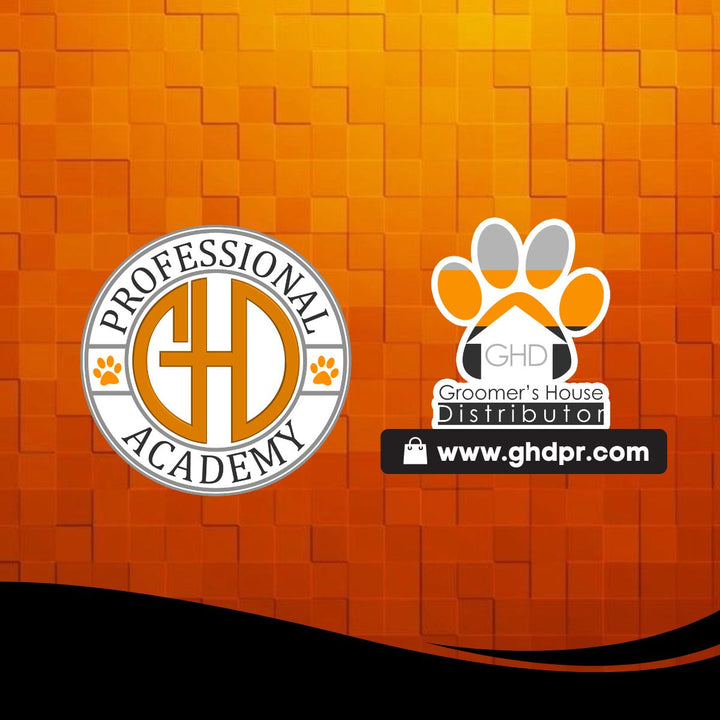 CERTIFICACIÓN NUTRICIÓN CAPILAR