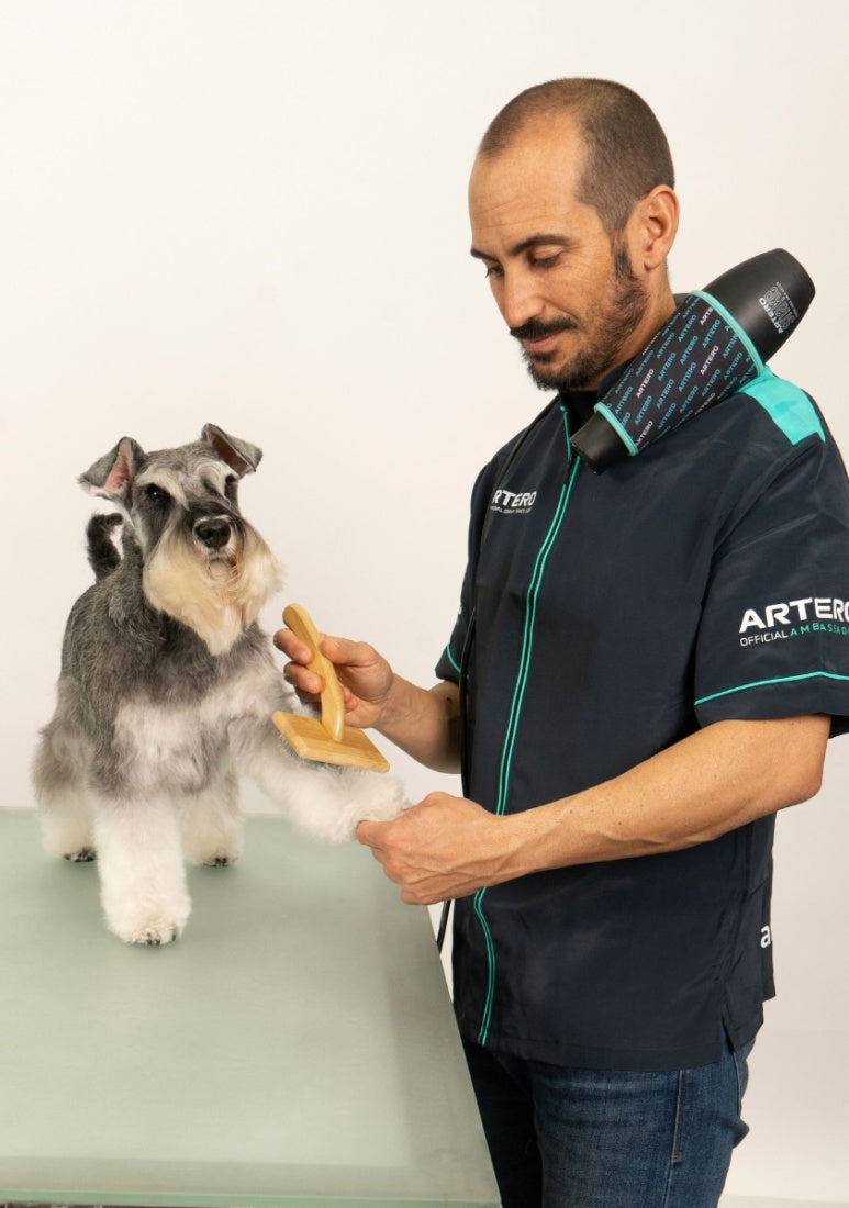 ARTERO NECK MOUNT DRYER MOUNT DRYER SNAKE