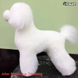 Opawz Toy Poodle Wig White