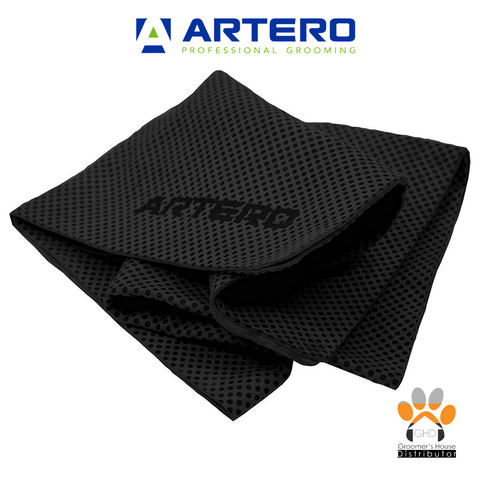 A418 Artero Ionized Carbon Ultra-Absorbent Towel