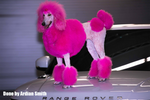 Dog Hair Dye Adorable Pink  8oz