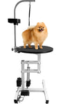 24in Electric Lift Grooming Table