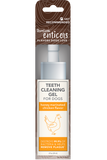 Enticers Teeth Cleaning Gel For Dogs 2oz Honey Marinated Chicken Flavor