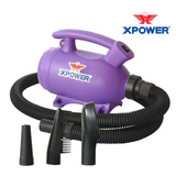 XPOWER B-55 Home Pet Dryer With Vacuum (PURPLE)