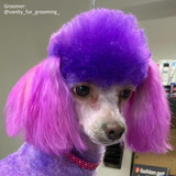 Dog Hair Dye Chic Violet 8oz
